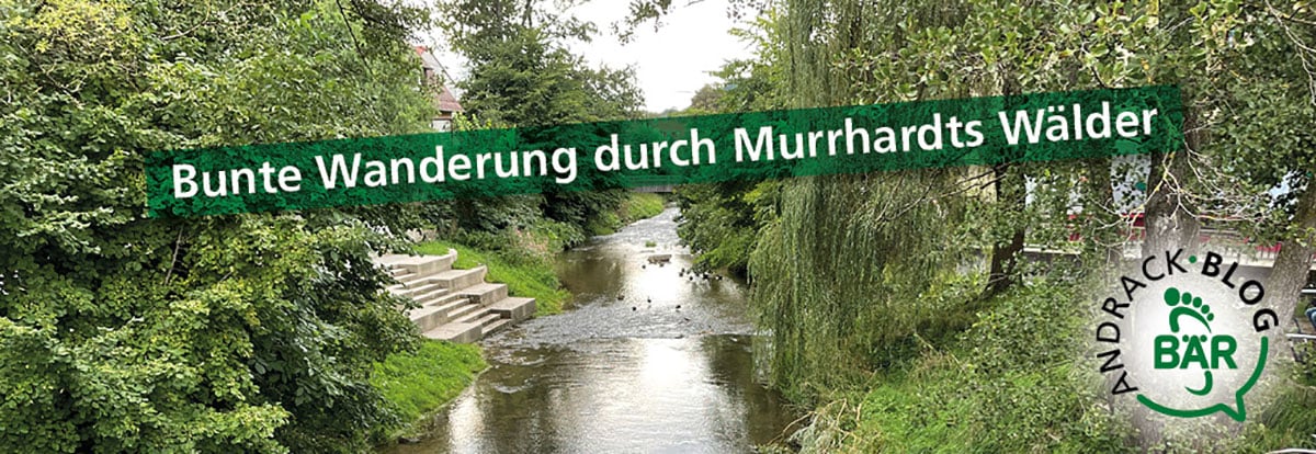 Quer durchs grüne - mit BÄR Schuhen!