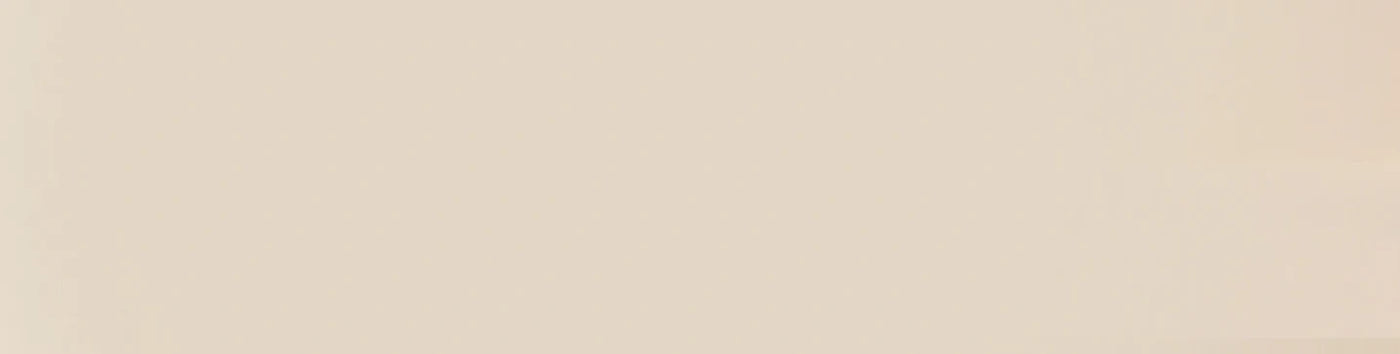 Ballerinas-Schuhe-banner_1