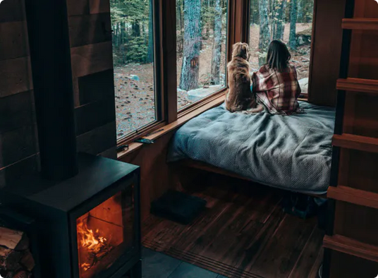 Eine Person und ein Hund sitzen auf einem Bett in einer Hütte und blicken durch ein großes Fenster in einen Wald. Ein Kamin sorgt für eine warme Atmosphäre.