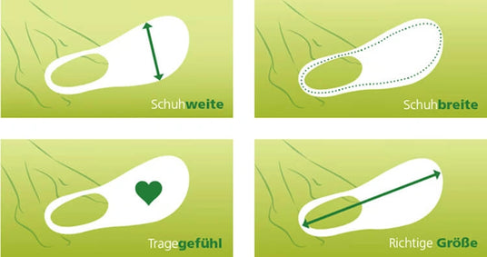 Wählen Sie das richtige Paar BÄR Schuhe